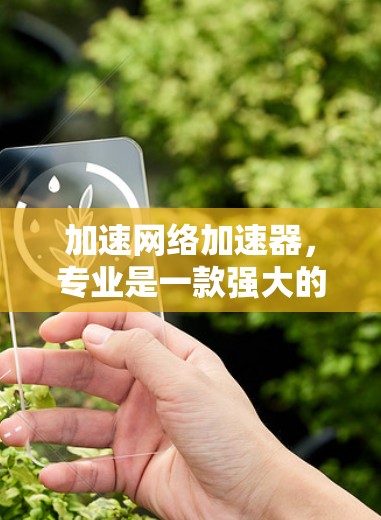 加速网络加速器,专业是一款强大的加速工具,专为加速网络加速设计,支持多种加速协议,帮助用户提升网络性能 加速网络加速器,专业是一款强大的加速工具,专为加速网络加速设计,支持多种加速协议,帮助用户提升网络性能
