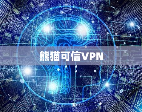 熊猫可信VPN
