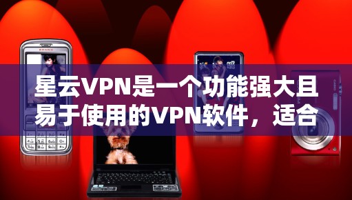 星云VPN是一个功能强大且易于使用的VPN软件，适合个人用户和企业用户。以下是使用星云VPN的详细步骤