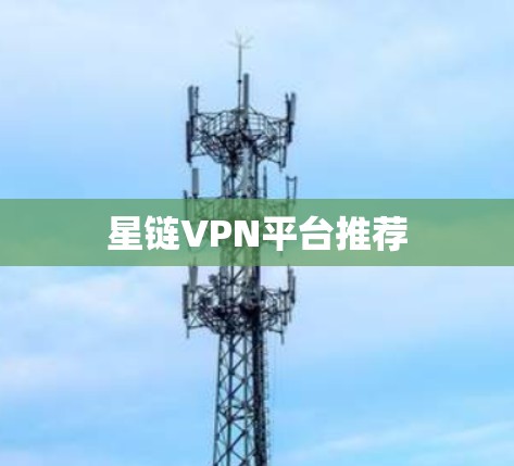 星链VPN平台推荐 星链VPN平台推荐