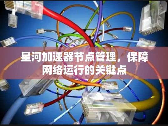 星河加速器节点管理，保障网络运行的关键点