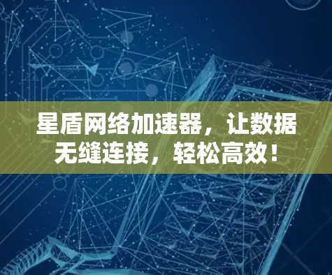 星盾网络加速器，让数据无缝连接，轻松高效！
