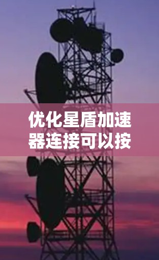优化星盾加速器连接可以按照以下步骤进行