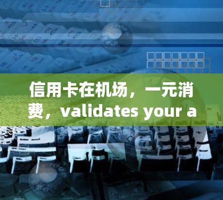 信用卡在机场，一元消费，validates your association