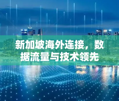 新加坡海外连接，数据流量与技术领先