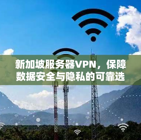 新加坡服务器VPN，保障数据安全与隐私的可靠选择