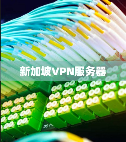 新加坡VPN服务器