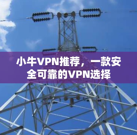 小牛VPN推荐，一款安全可靠的VPN选择