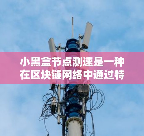 小黑盒节点测速是一种在区块链网络中通过特定节点执行的测速工具,用于监控和优化网络性能。以下是关于小黑盒节点测速的详细分析 小黑盒节点测速是一种在区块链网络中通过特定节点执行的测速工具,用于监控和优化网络性能。以下是关于小黑盒节点测速的详细分析