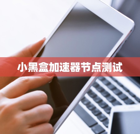 小黑盒加速器节点测试