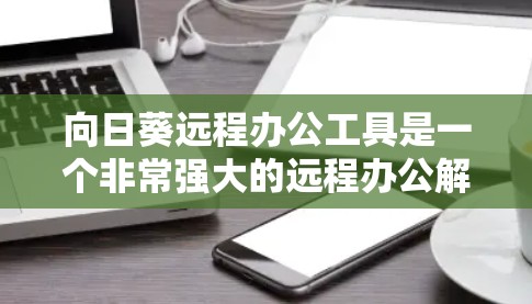 向日葵远程办公工具是一个非常强大的远程办公解决方案，适合企业用户和个人用户使用。以下是一些关于向日葵远程办公的常见问题和解决方案