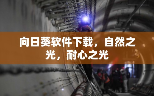 向日葵软件下载，自然之光，耐心之光