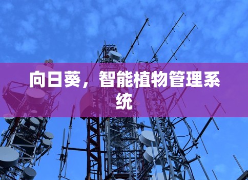 向日葵,智能植物管理系统 向日葵,智能植物管理系统
