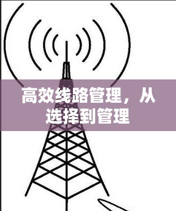 高效线路管理，从选择到管理