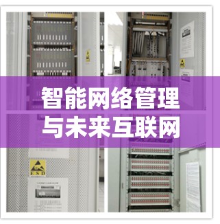 智能网络管理与未来互联网