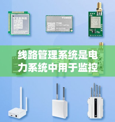 线路管理系统是电力系统中用于监控、管理和维护电力线路的重要工具。它包括多个关键组件和功能模块，旨在确保电力输送的高效、安全和可靠。以下是对该领域的详细介绍