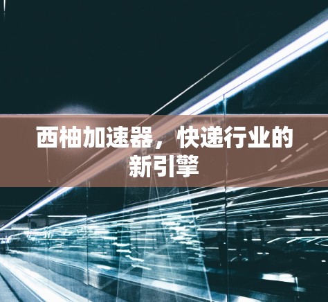 西柚加速器，快递行业的新引擎