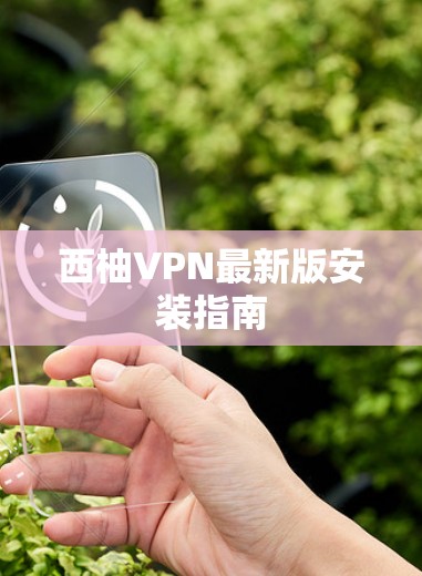 西柚VPN最新版安装指南