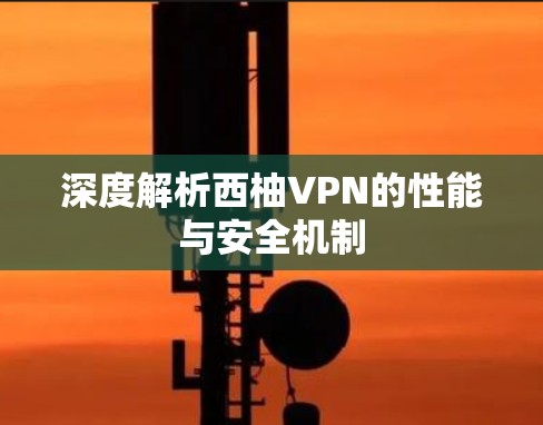 深度解析西柚VPN的性能与安全机制