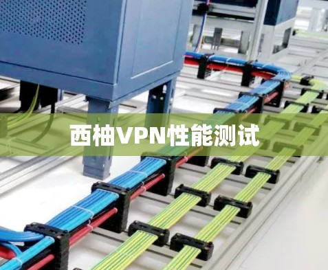西柚VPN性能测试