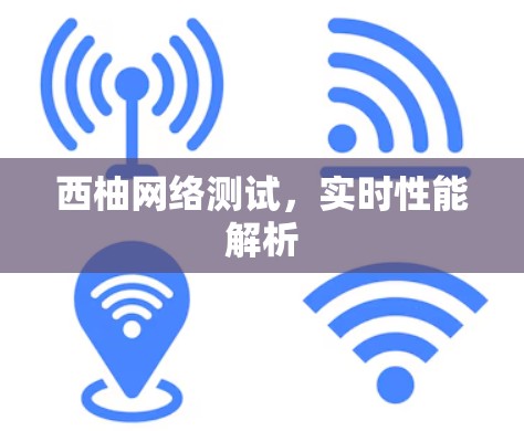 西柚网络测试,实时性能解析 西柚网络测试,实时性能解析
