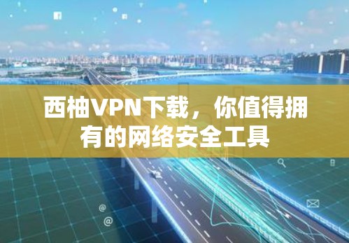 西柚VPN下载，你值得拥有的网络安全工具