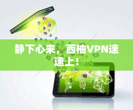 静下心来，西柚VPN速速上！
