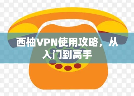 西柚VPN使用攻略,从入门到高手 西柚VPN使用攻略,从入门到高手