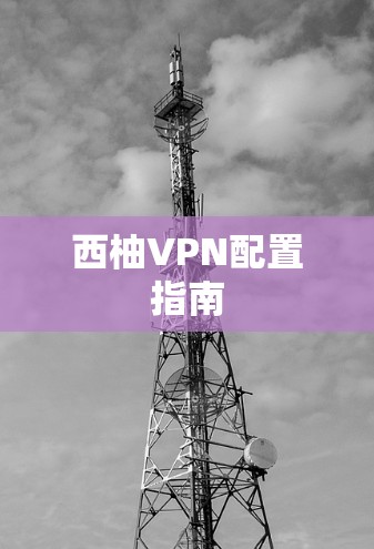 西柚VPN配置指南