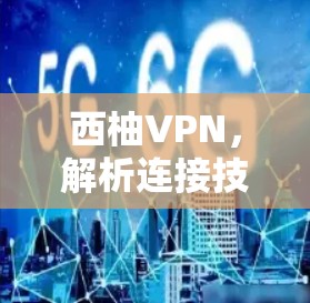 西柚VPN，解析连接技术与安全防护