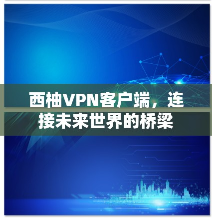 西柚VPN客户端，连接未来世界的桥梁