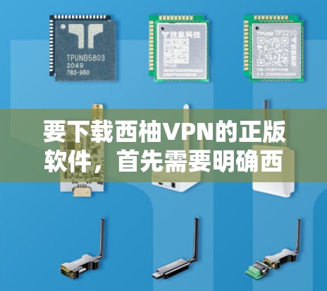 要下载西柚VPN的正版软件,首先需要明确西柚VPN的合法性和合法性。如果用户对西柚VPN的合法性有疑问,建议用户通过可靠的网站进行验证,或者直接访问官方官网,看看是否提供正版软件下载 要下载西柚VPN的正版软件,首先需要明确西柚VPN的合法性和合法性。如果用户对西柚VPN的合法性有疑问,建议用户通过可靠的网站进行验证,或者直接访问官方官网,看看是否提供正版软件下载
