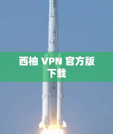 西柚 VPN 官方版下载