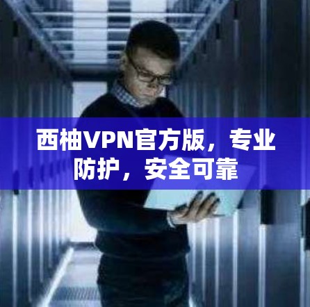 西柚VPN官方版,专业防护,安全可靠 西柚VPN官方版,专业防护,安全可靠