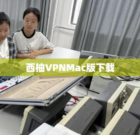 西柚VPNMac版下载 西柚VPNMac版下载