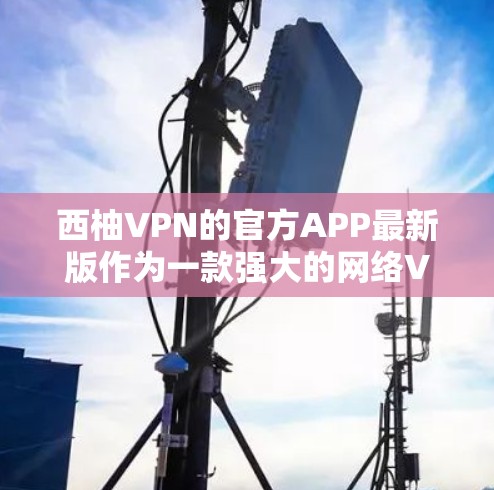 西柚VPN的官方APP最新版作为一款强大的网络VPN服务，以其专业性、安全性和技术支持，赢得了许多用户的喜爱。以下是一些关于该产品的关键信息