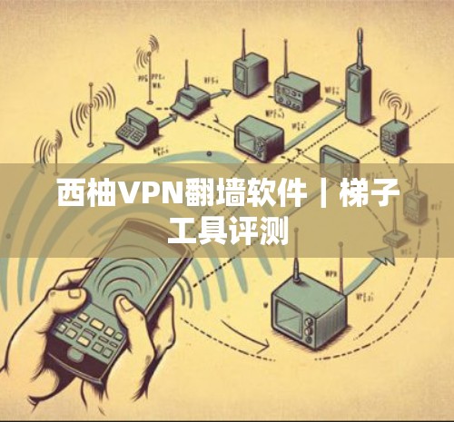 西柚VPN翻墙软件|梯子工具评测 西柚VPN翻墙软件|梯子工具评测