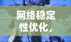 网络稳定性优化,从基础到应用 网络稳定性优化,从基础到应用