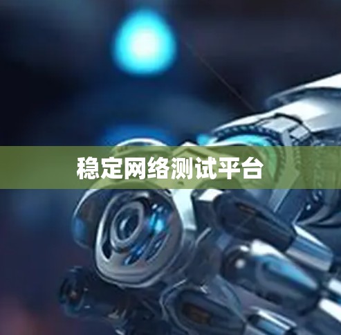 稳定网络测试平台
