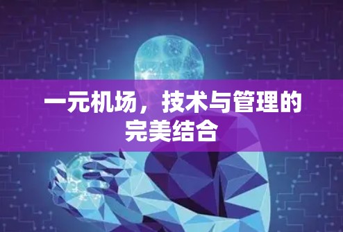 一元机场,技术与管理的完美结合 一元机场,技术与管理的完美结合