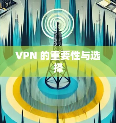 VPN 的重要性与选择