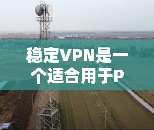 稳定VPN是一个适合用于PC设备的加密 VPN，提供更稳定和安全的连接。以下是使用稳定VPN加密视频流的教程