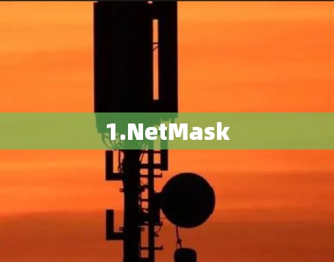 1.NetMask