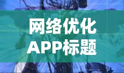 网络优化APP标题