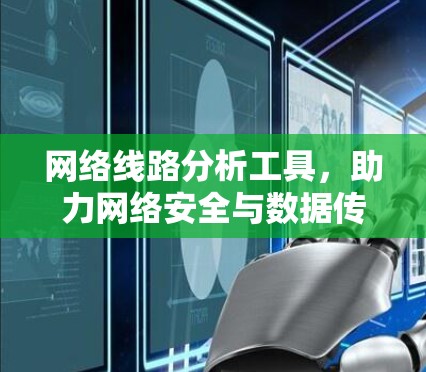 网络线路分析工具,助力网络安全与数据传输的专业解决方案 网络线路分析工具,助力网络安全与数据传输的专业解决方案