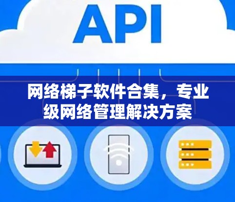 网络梯子软件合集，专业级网络管理解决方案