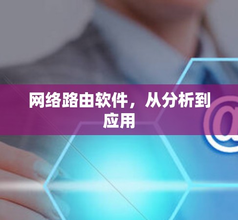 网络路由软件，从分析到应用