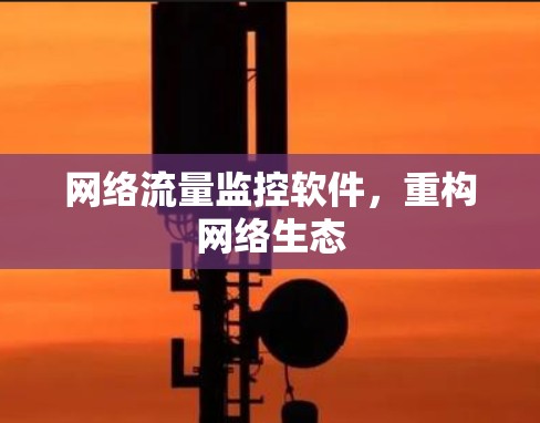网络流量监控软件,重构网络生态 网络流量监控软件,重构网络生态