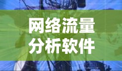 网络流量分析软件全解析