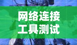网络连接工具测试是一个重要步骤，确保工具能够正确运行并提供所需服务。以下是一步步的测试指南